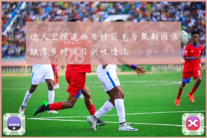 德天空报道施洛特贝克与聚勒因伤缺席多特今日训练情况